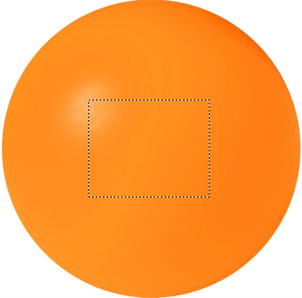 Obrázek s vyznačenou plochou