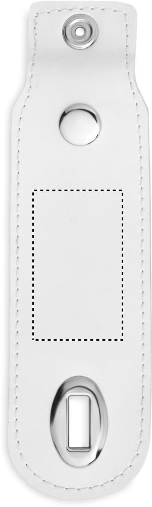 Obrázek s vyznačenou plochou