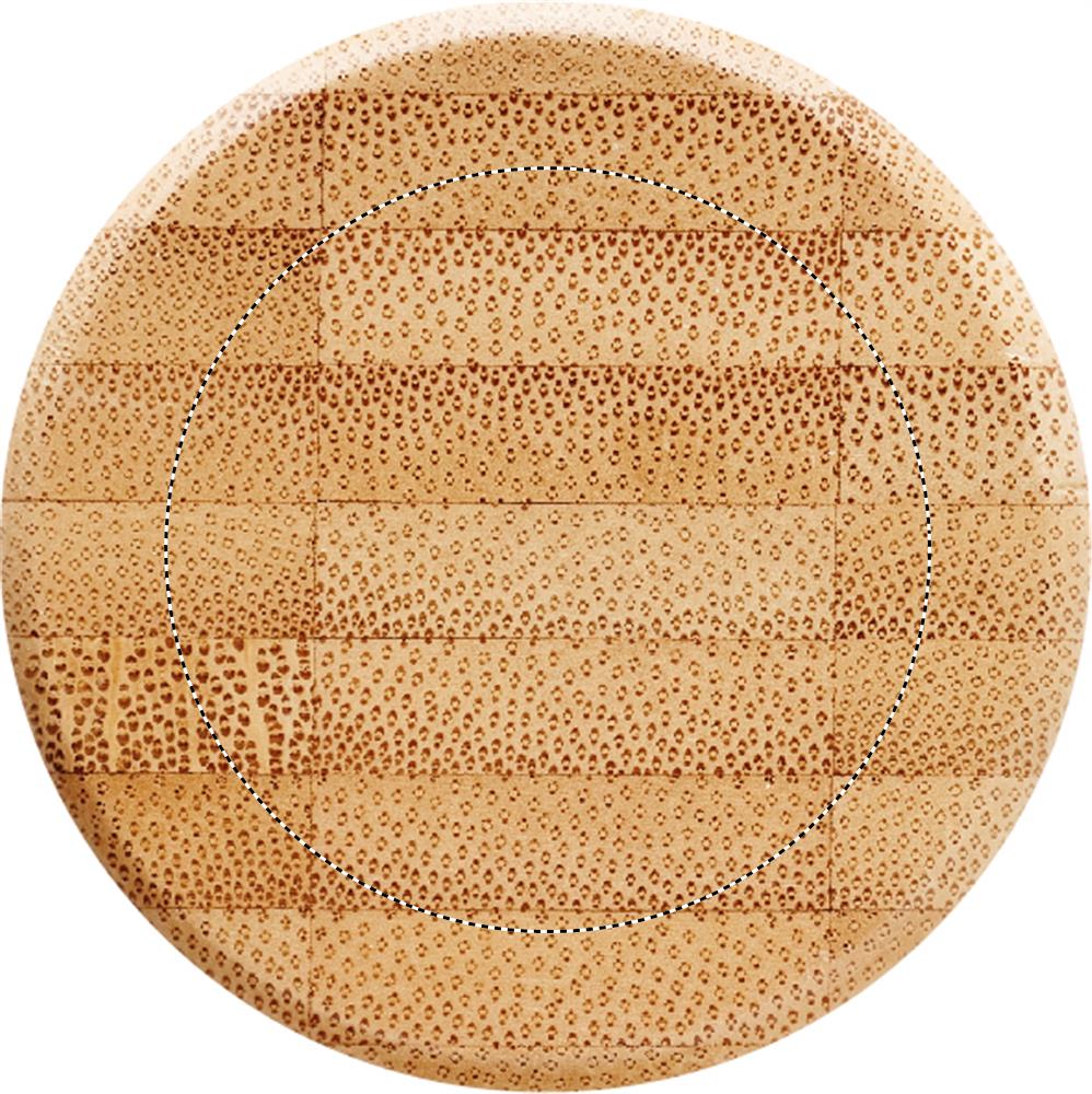 Obrázek s vyznačenou plochou