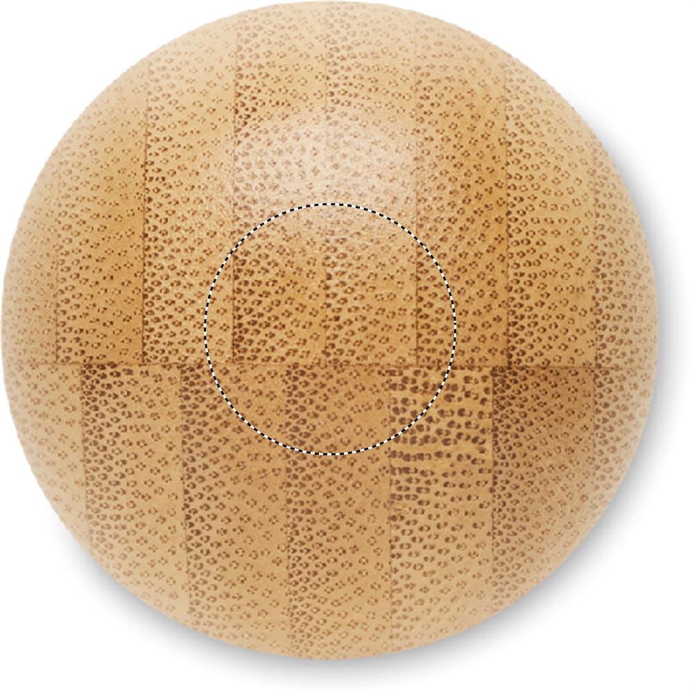 Obrázek s vyznačenou plochou