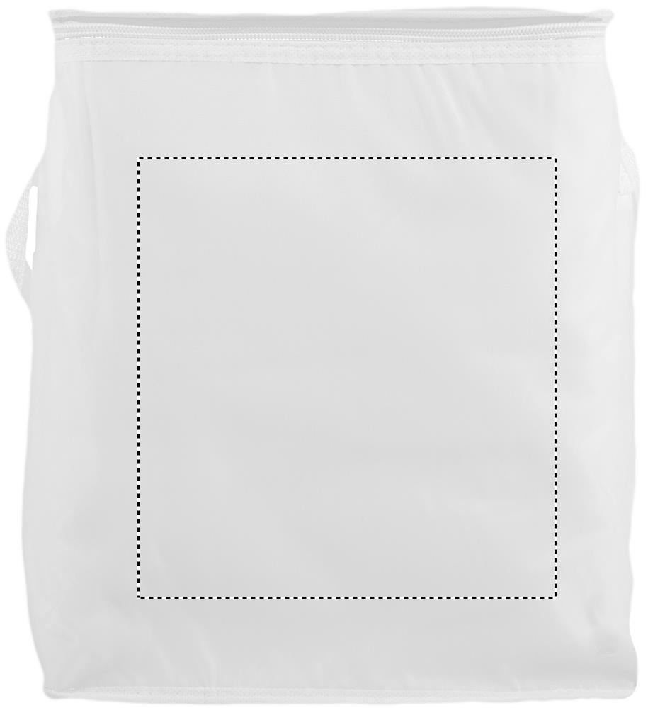 Obrázek s vyznačenou plochou