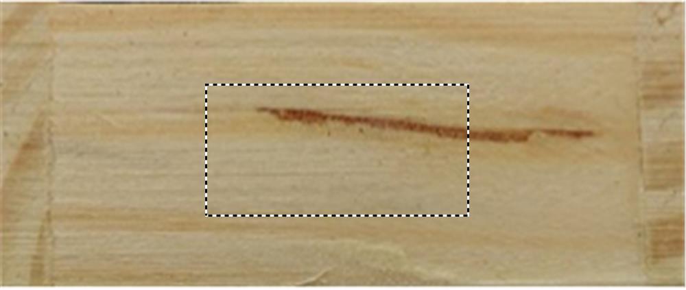 Obrázek s vyznačenou plochou