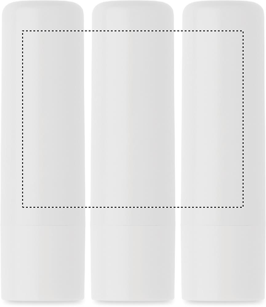 Obrázek s vyznačenou plochou