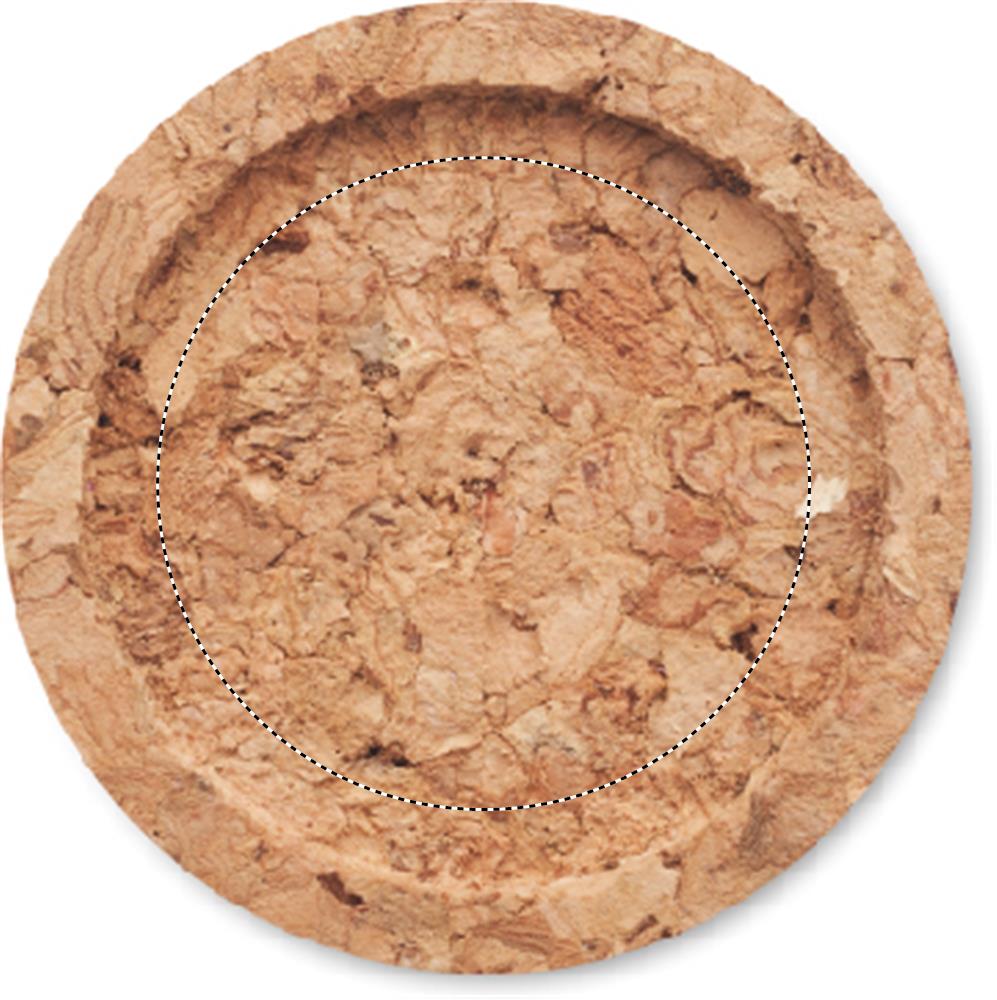 Obrázek s vyznačenou plochou