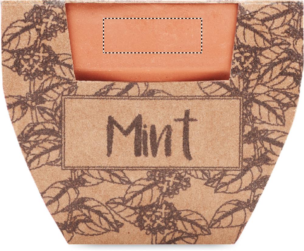 Obrázek s vyznačenou plochou