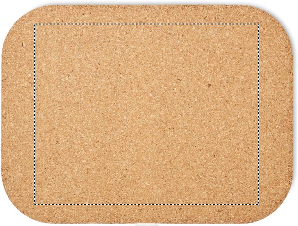 Obrázek s vyznačenou plochou