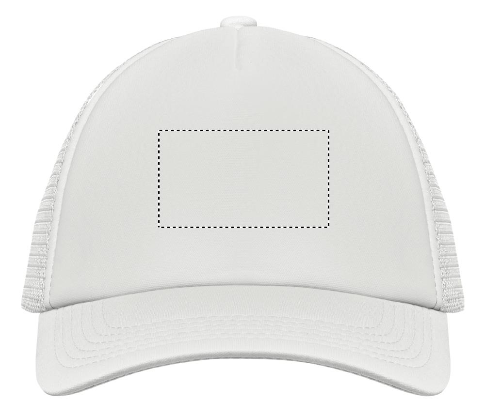 Obrázek s vyznačenou plochou