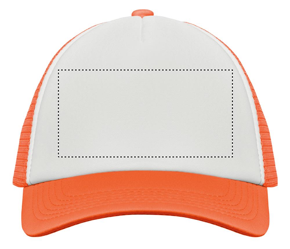 Obrázek s vyznačenou plochou