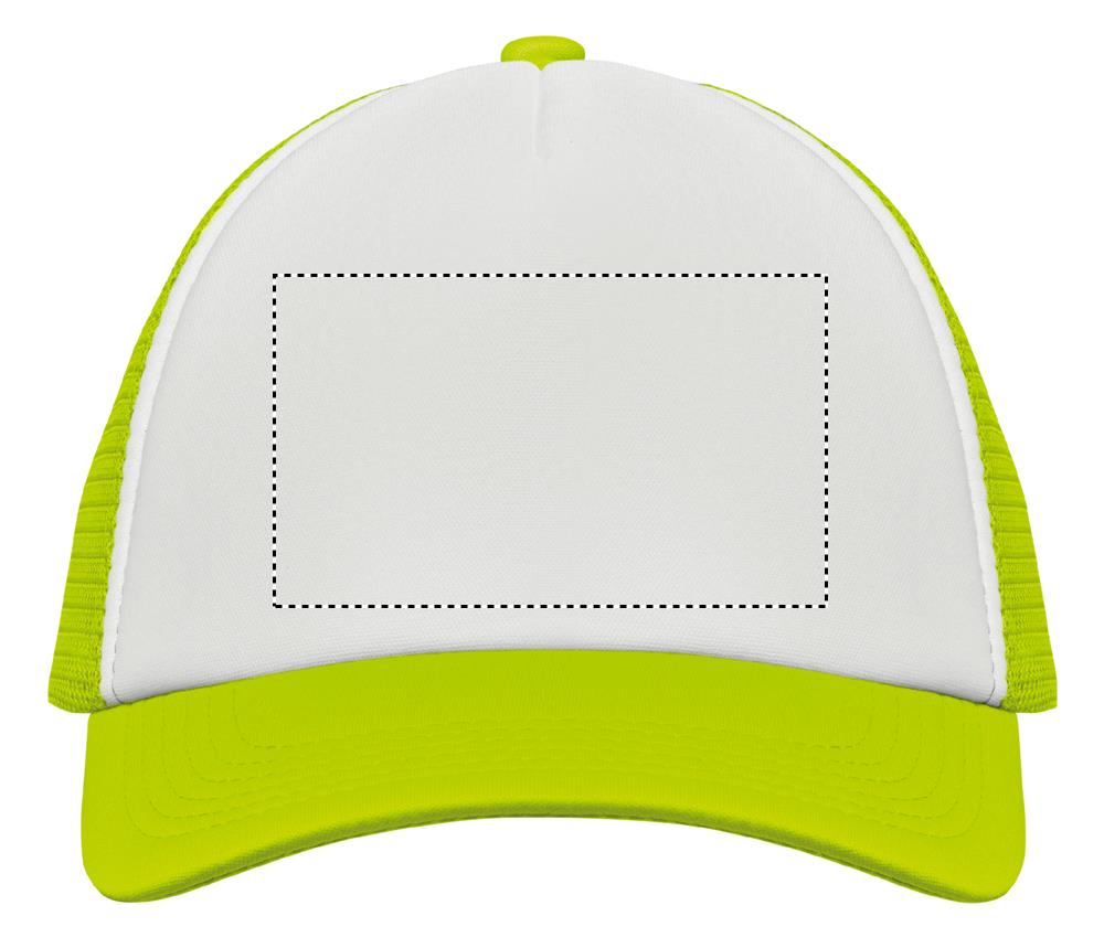 Obrázek s vyznačenou plochou