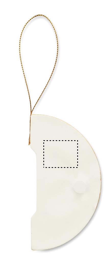 Obrázek s vyznačenou plochou