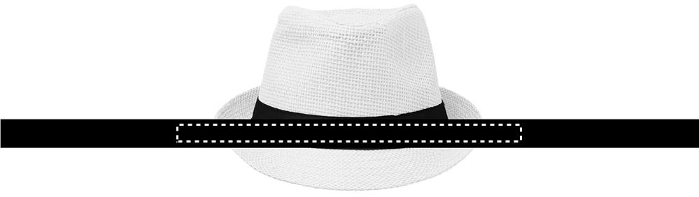 Obrázek s vyznačenou plochou