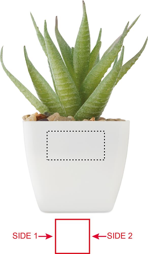 Obrázek s vyznačenou plochou