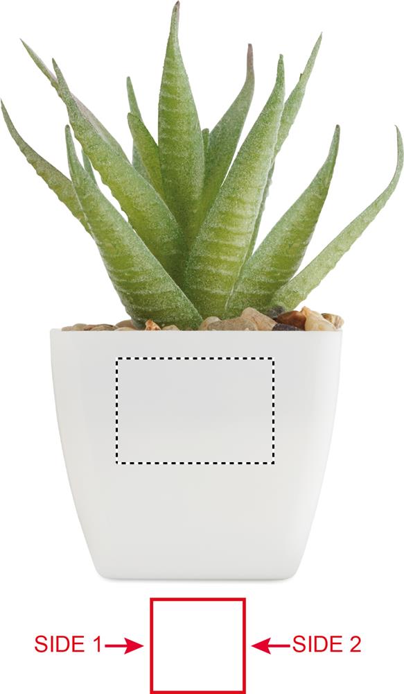 Obrázek s vyznačenou plochou