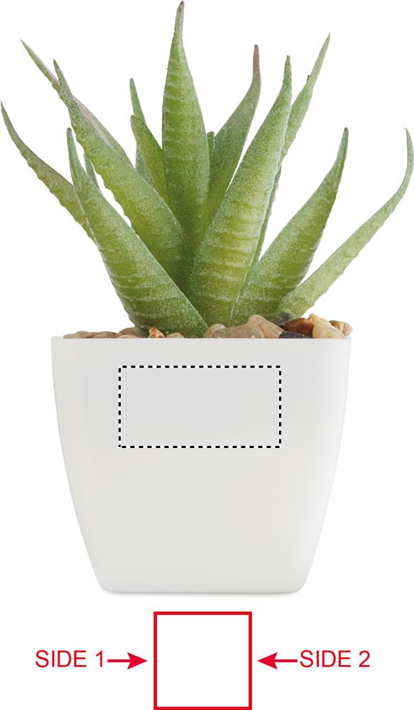 Obrázek s vyznačenou plochou