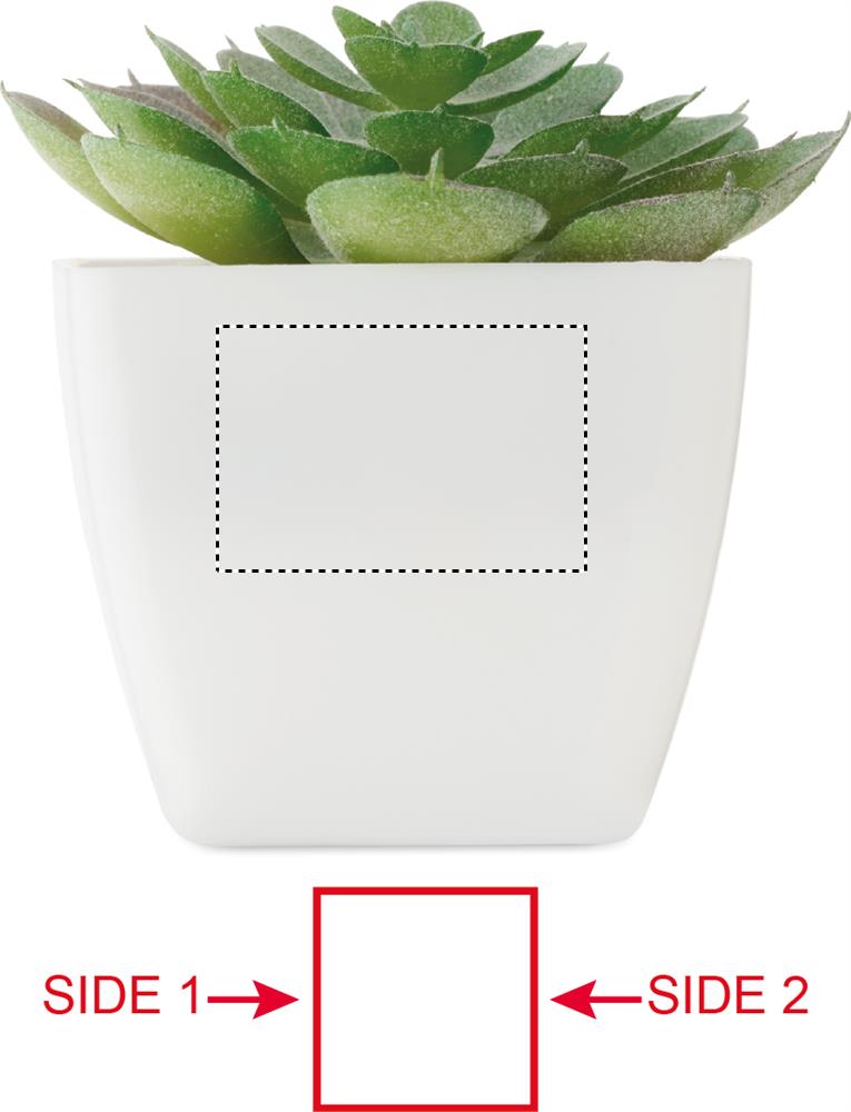 Obrázek s vyznačenou plochou