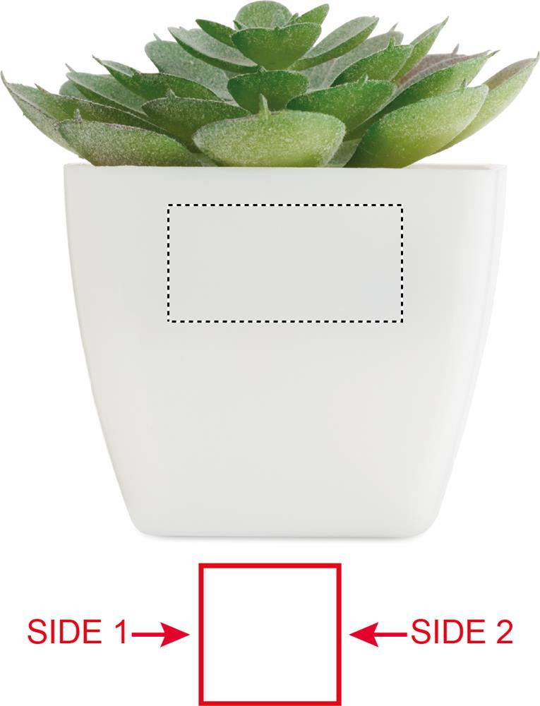 Obrázek s vyznačenou plochou