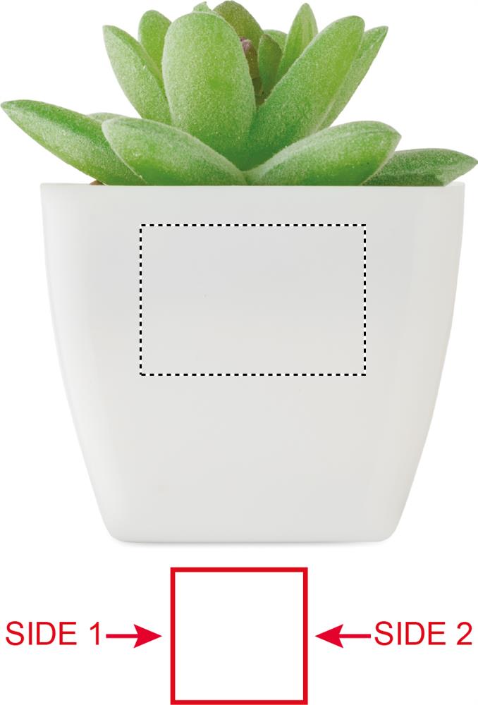 Obrázek s vyznačenou plochou