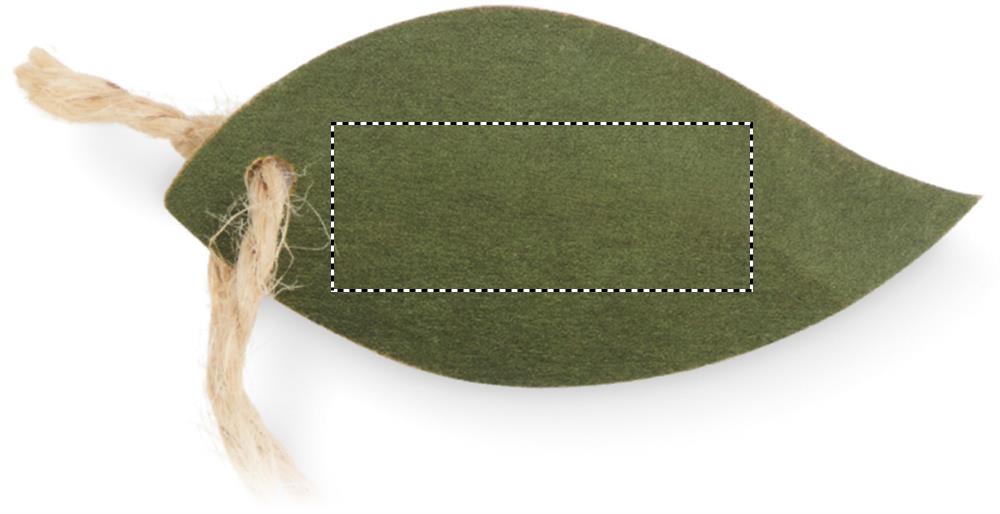 Obrázek s vyznačenou plochou