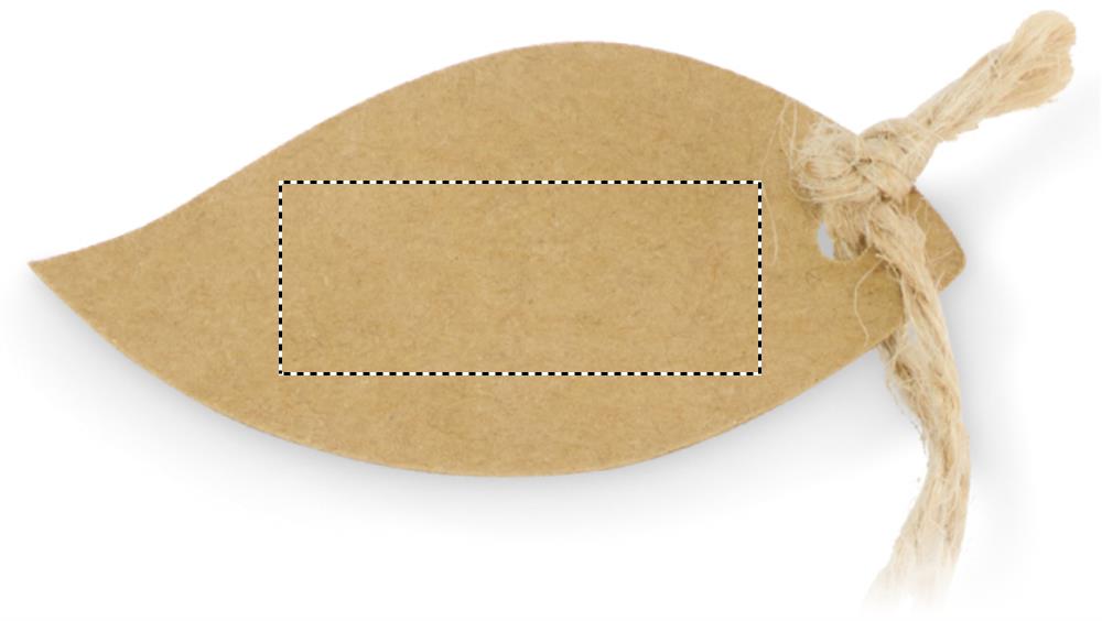 Obrázek s vyznačenou plochou