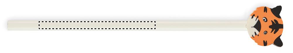 Obrázek s vyznačenou plochou