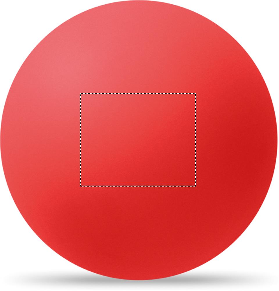 Obrázek s vyznačenou plochou